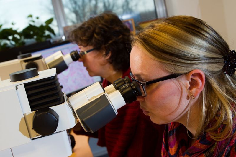 beoordeling-door-patholoog-labpon-4692348f Histologie
