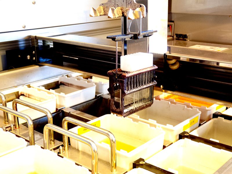 8b9dce0f image Histologie 8b9dce0f Histologie