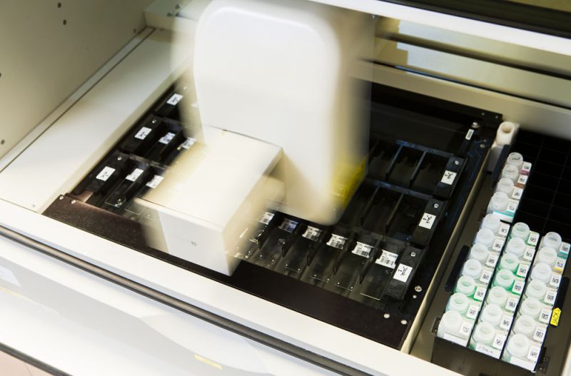 9b75bcf2 image Histologie 9b75bcf2 Histologie