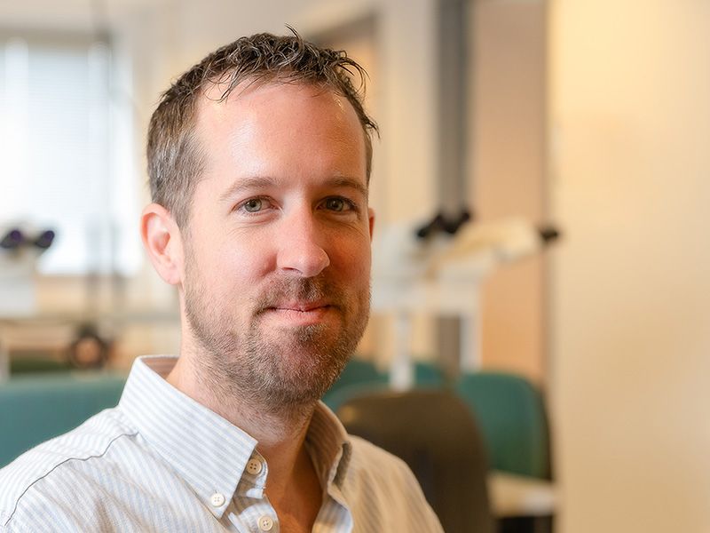 pieter-van-der-vorm-b3a4ced2 Pathologen en subspecialisaties