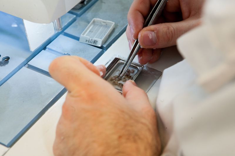 c968a518 image Histologie c968a518 Histologie