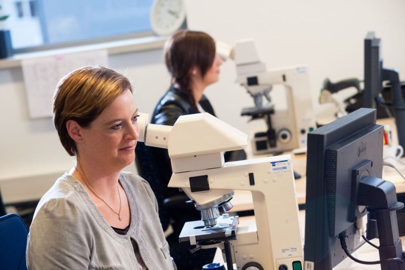 beoordeling-door-cytologsch-analisten-labpon-d8004a11 Onderzoek baarmoederhalskanker