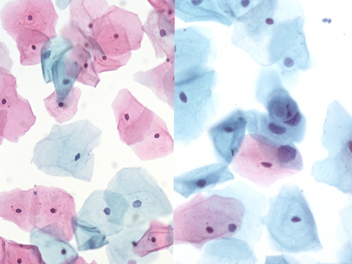 e2e92e8c Voor huisartsen