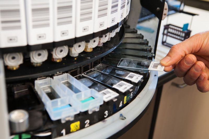 eca306ef image Histologie eca306ef Histologie