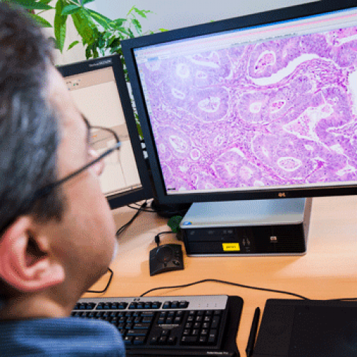 digitale-pathologie_d2700d8c2506d66e4974aa7796192eff image LabPON wereldwijd koploper in digitalisering werkwijze pathologisch laboratorium LabPON wereldwijd koploper in digitalisering werkwijze pathologisch laboratorium